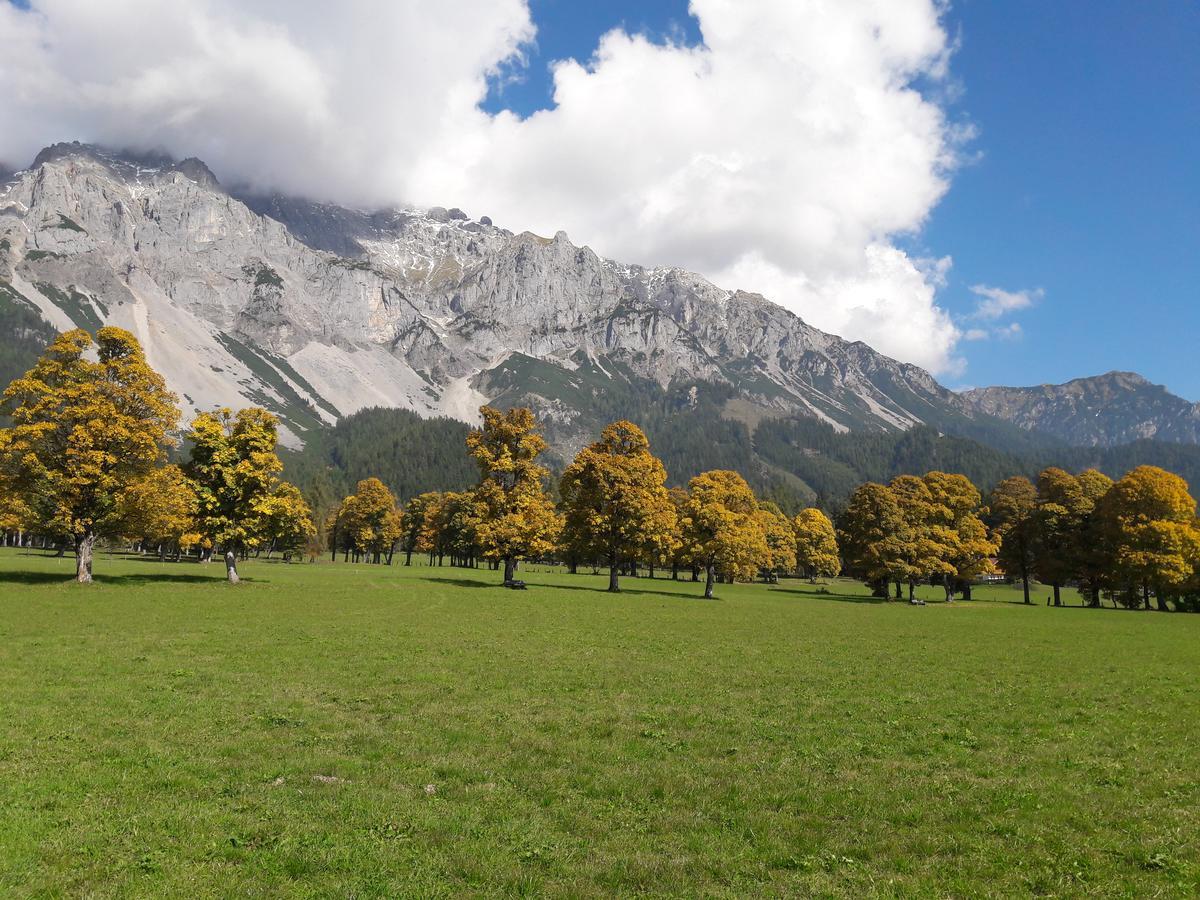 Appartement "Haus Lisa" In Ramsau Am Dachstein Bagian luar foto